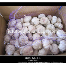 2017 red white/ purple white garlic